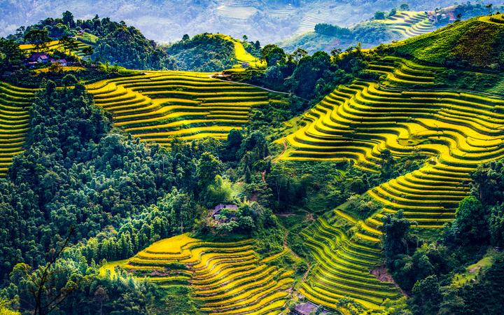 Hotspot Matrix: Biến Mẹ Cua Cốm khen vải trứng Phù thành cơ hội marketing đột phá