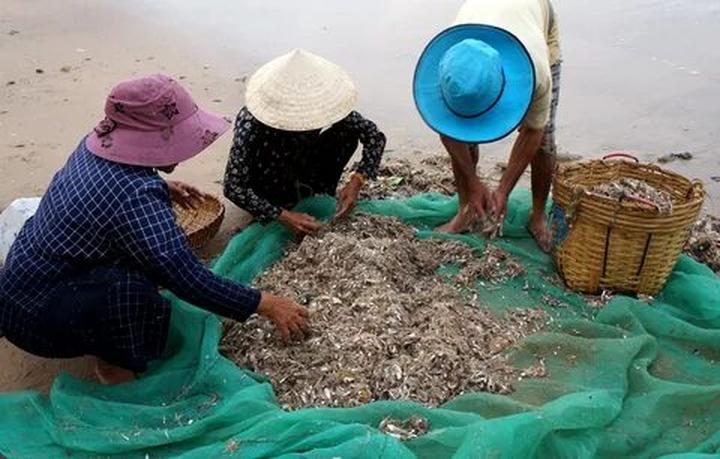 Xu hướng 5 kiểu áo dễ